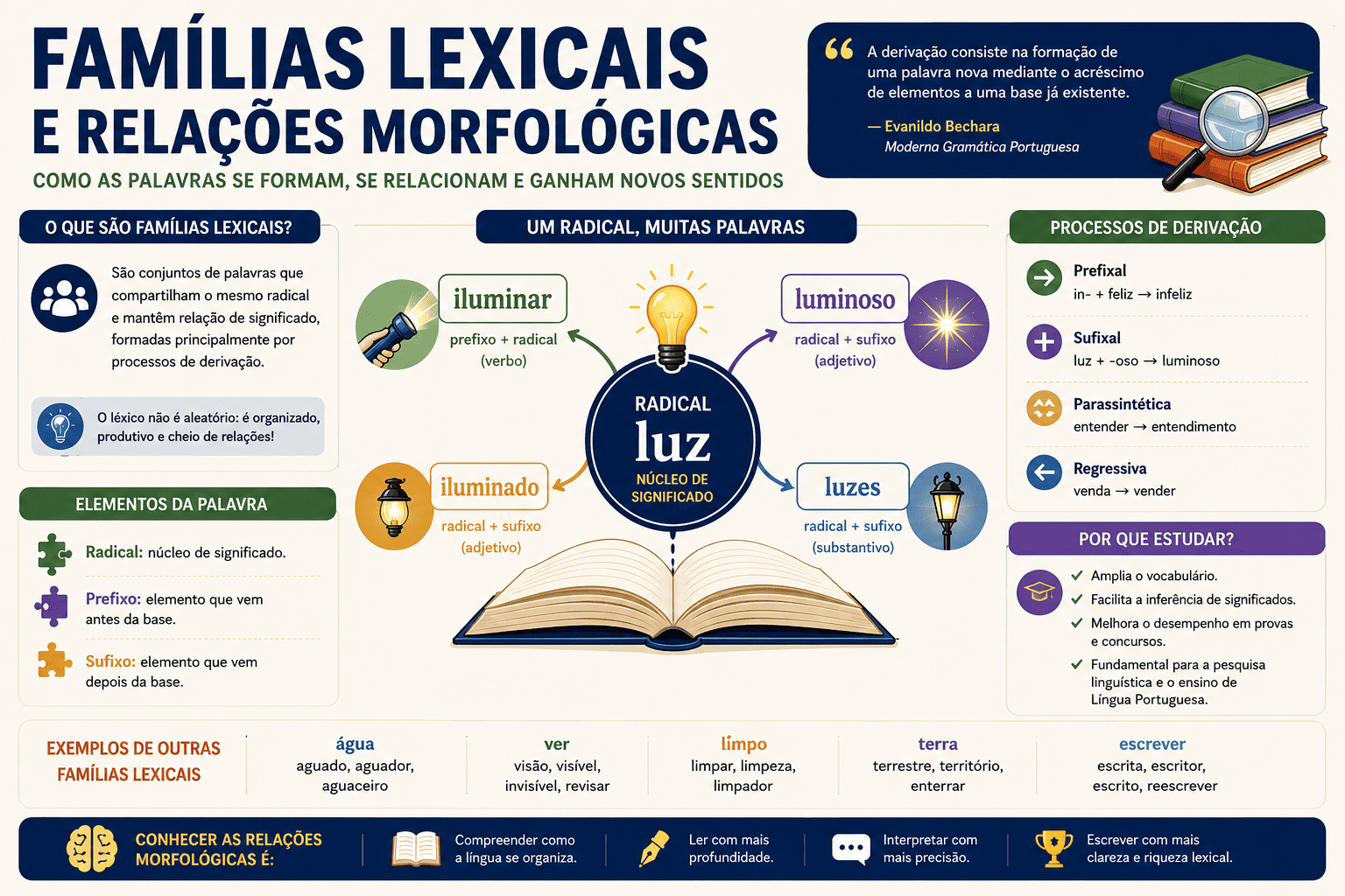 Famílias Lexicais e Relações Morfológicas: formação de palavras, derivação e produtividade lexical