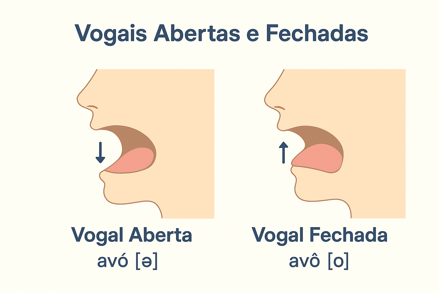 Vogais abertas e fechadas em português